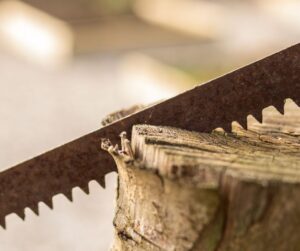 brzeszczoty – narzędzia skrawające